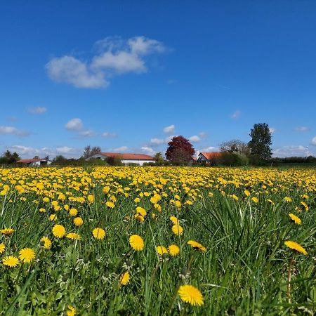 Ildhu Inn Kvaerndrup エクステリア 写真